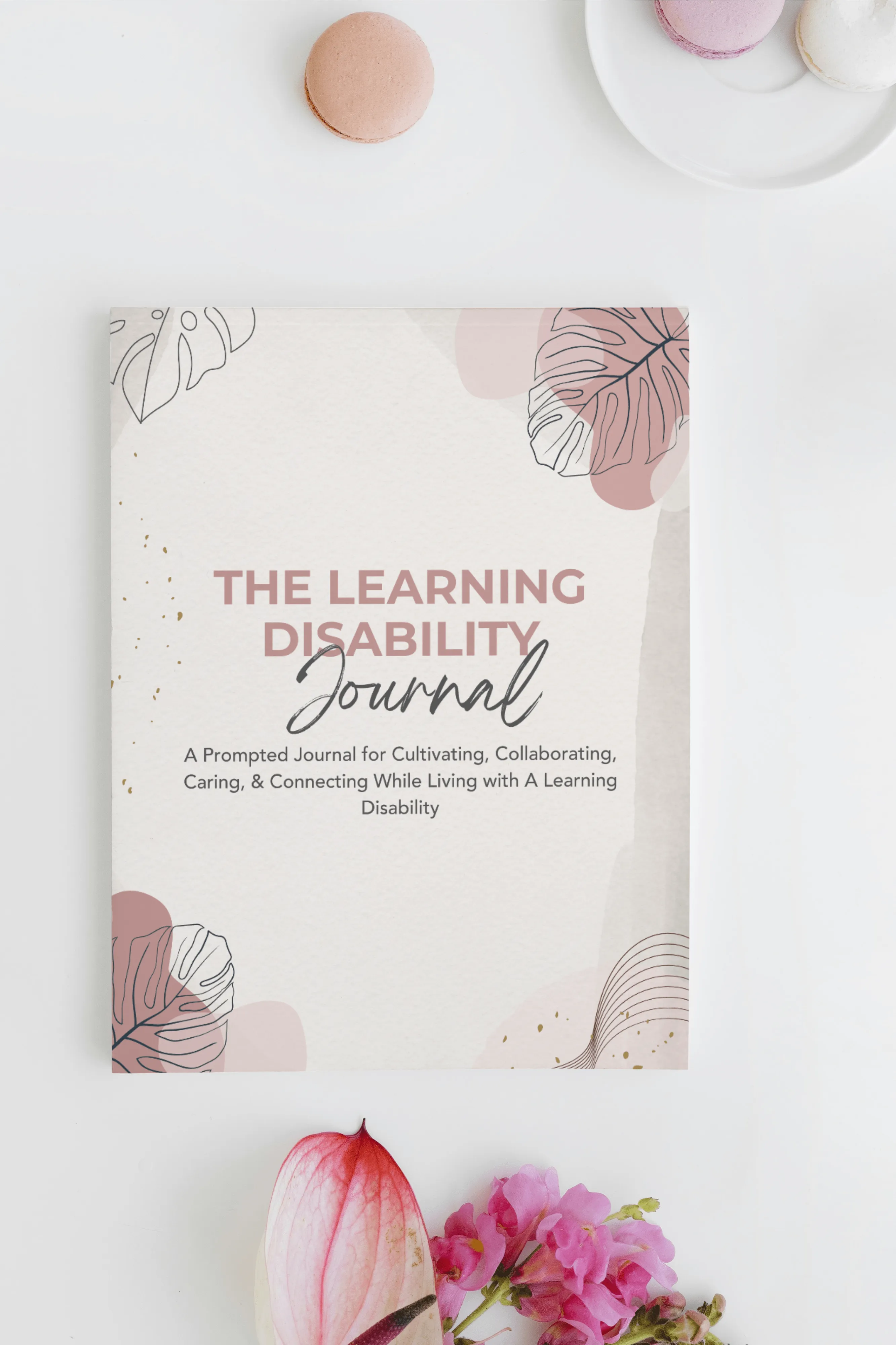 Workbooks Journals for ADHD Autism Learning Disabilities